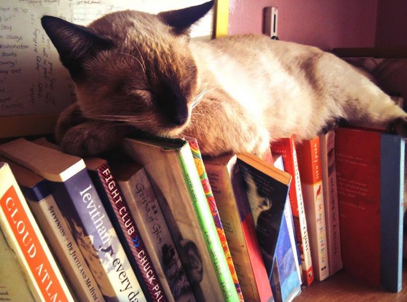 bookscat